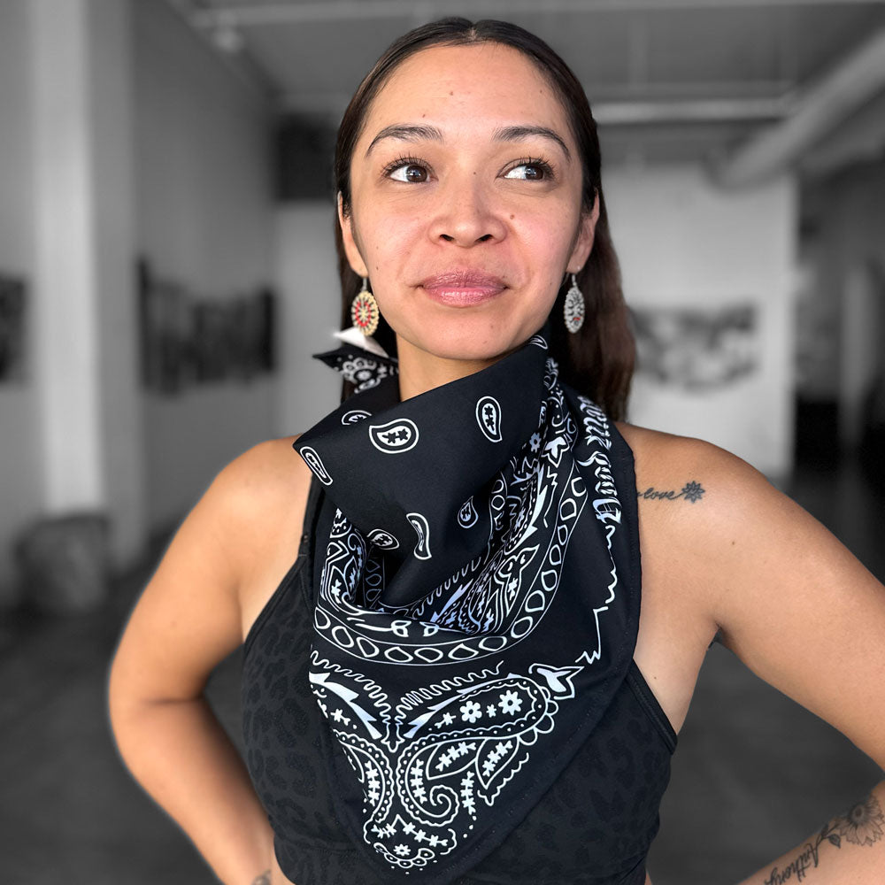 Classic Paisley Bandana – Hood Mats